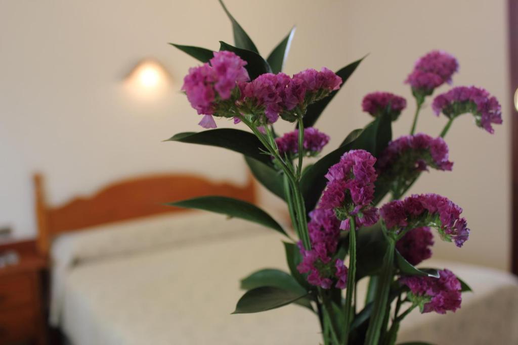 Hotel Abadi 科爾多瓦 外观 照片